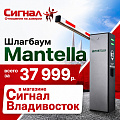 Шлагбаумы Mantella за 38000р.